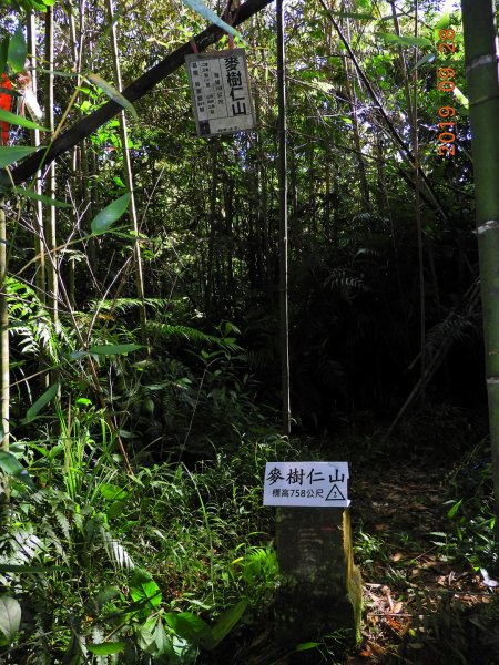 新竹 尖石 麥樹仁山747283