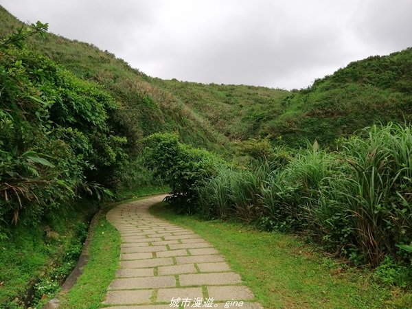 【新北。貢寮】壯麗海景。 龍洞灣岬步道1364890