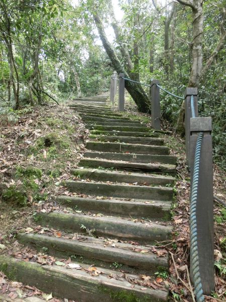 平湖森林步道．內平林山109380