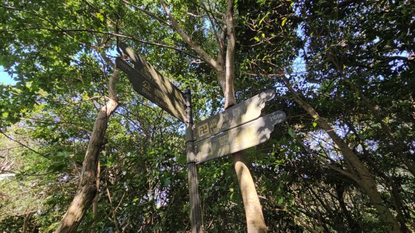 硬漢嶺大崩壁＆占山(尖山)連峰O走3071686