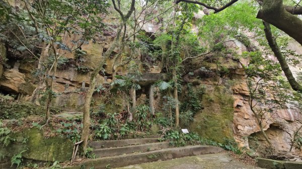 圓通寺烘爐地登山步道大O走3007069
