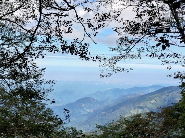 【新竹縣五峰鄉】檜山巨木森林步道2833707