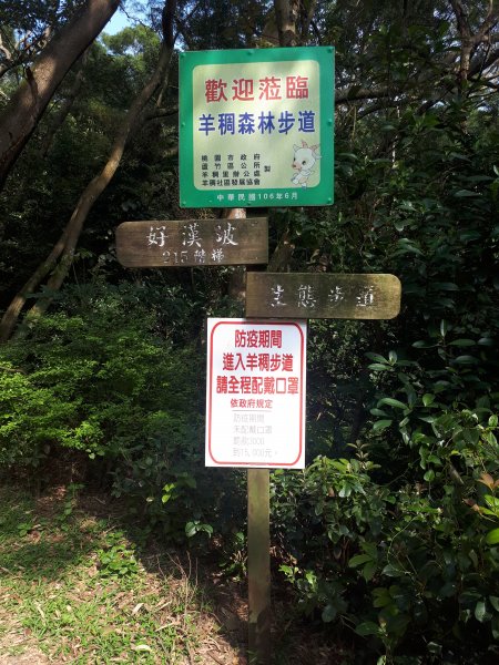 羊稠森林步道1647284