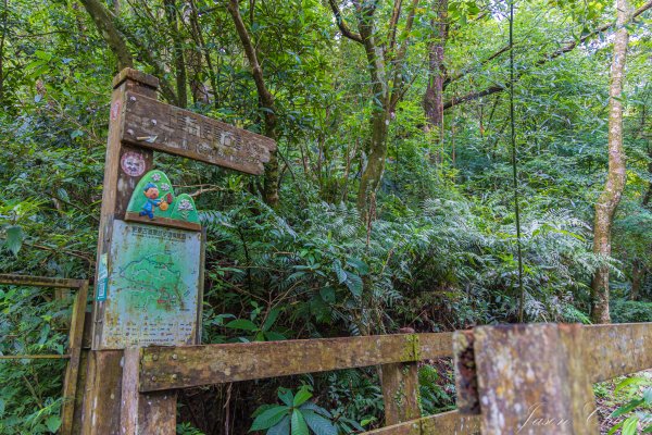 [新北]土庫岳更寮古道2575837