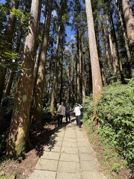 20251004嘉義奮起湖大凍山步道(頂湖)2914905
