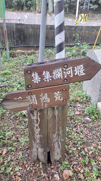 20250101八通關日治越道線(東埔-乙女瀑布)2684486