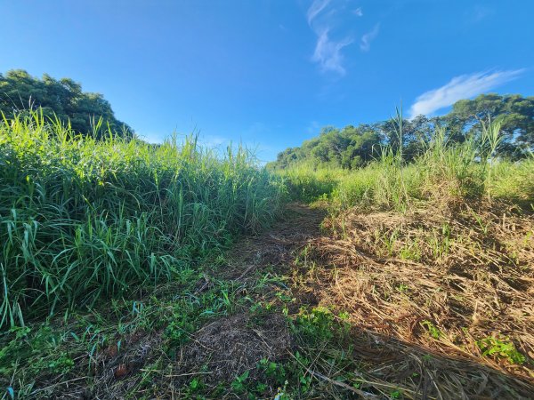 20250921學田山王田山大肚山大尖山竹坑山2928475