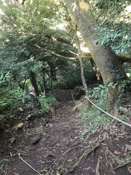 ~  臺北大縱走  第二段  ~1512537