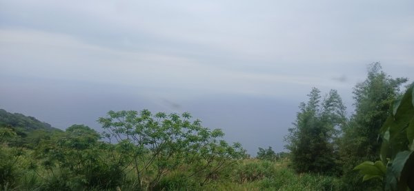 2025 4/5 加奈美山2754459