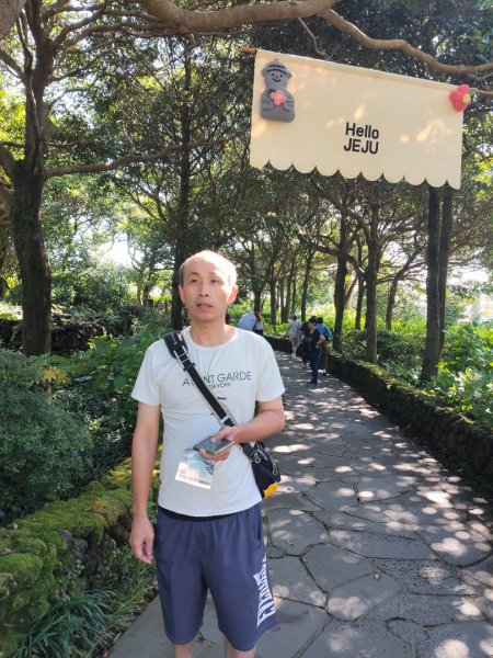 韓國濟州島：山茶花之丘2912449
