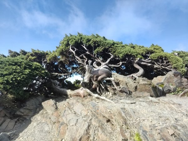 1140812合歡東峰3098170