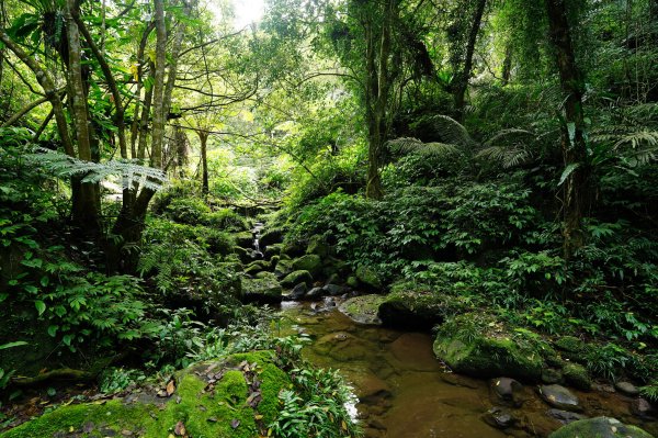 桃園 大溪 草嶺山、白石山、十三分山3040385