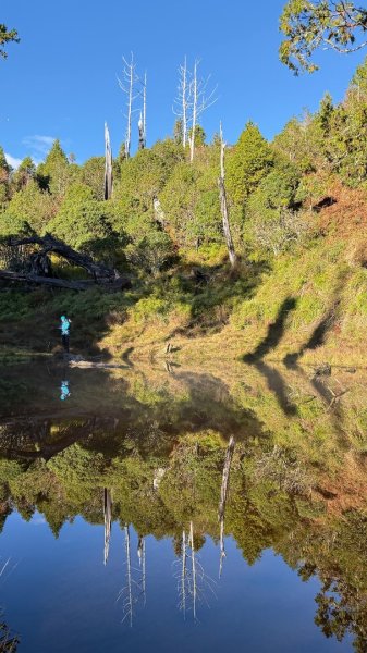 穿羅紗的「加羅湖」2943935