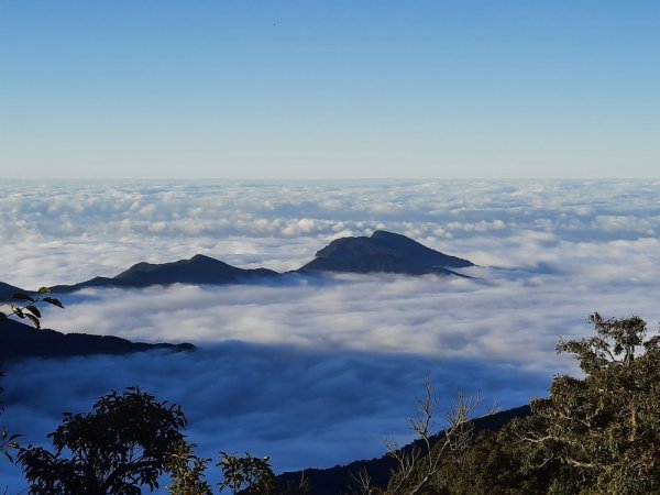 《新竹》觀霧走榛山｜觀雲海202011281190146