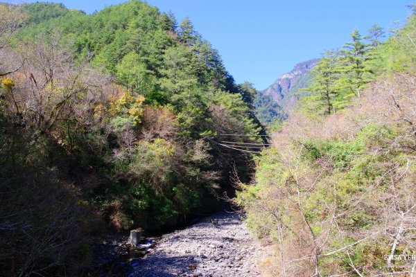 桃山瀑布步道1238787