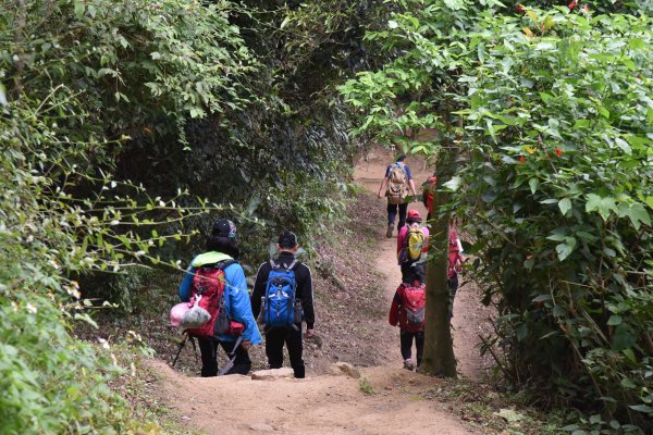 樹林大棟山／小百岳0151408539