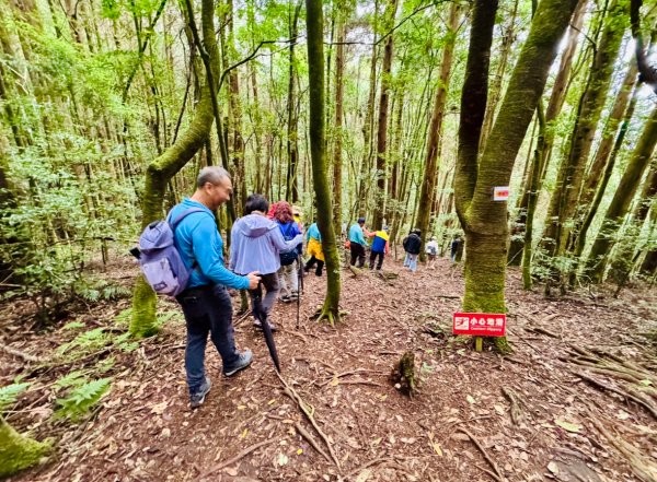 清泉 雪霸農場 野馬瞰山2925955