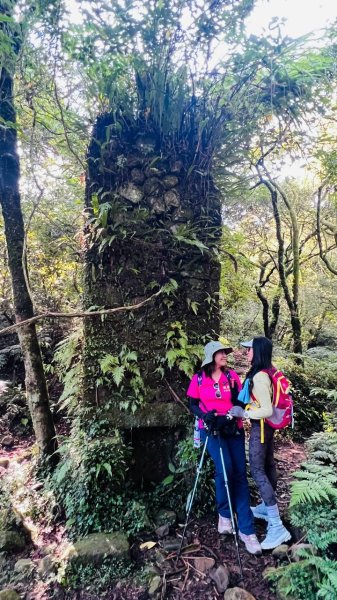 🌈10/4（日）台北抹茶山~小觀音群峰FB：熊熊趴爬走(富裕登山社)🌈3128309