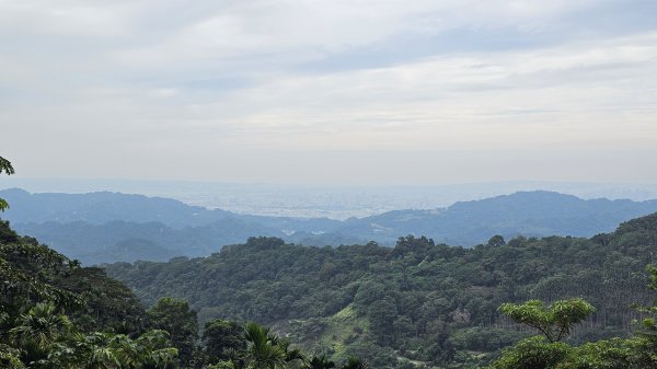 【山形暗影綽綽，我們步履不停，只為那枚海拔千尺下的獨特三角點。】小百岳#044暗影山2943638