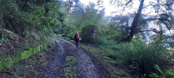大霸群峰:大霸尖山、小霸尖山、伊澤山、加利山、耶巴奧山2849574