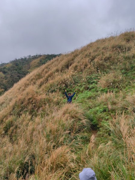 渭水之丘 烘爐地山 抹茶山 三角崙山2938752