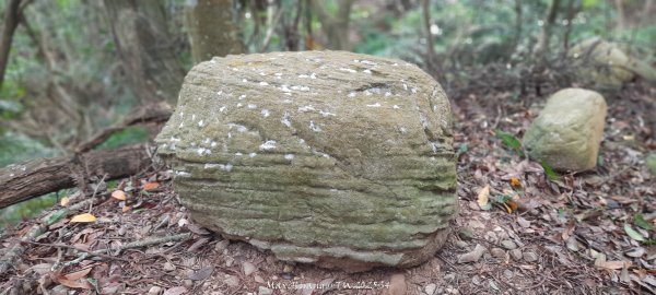 《苗栗》霧雨寒流｜三義三角山步道202512252969265
