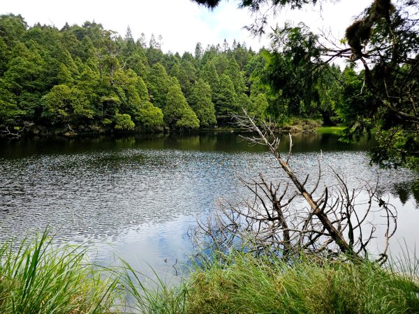 三星池步道(太平山森林遊樂區)2827814