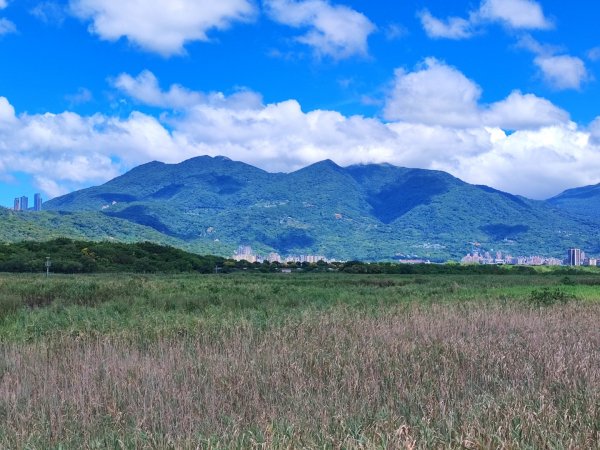 2023年臺北大縱走第八段：捷運動物園站至捷運關渡站[河濱自行車道]2293011