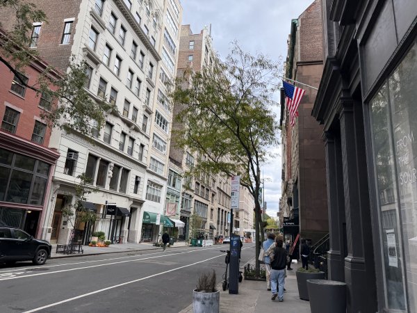 [紐約馬之行-03] 2025_1031 西奧多·羅斯福出生地國家歷史遺址2943415