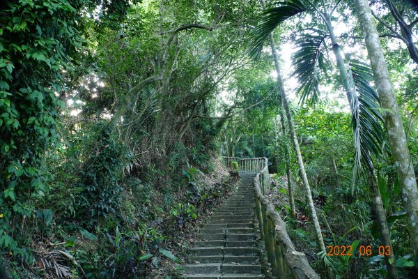 嘉義 梅山 觀音山1729868
