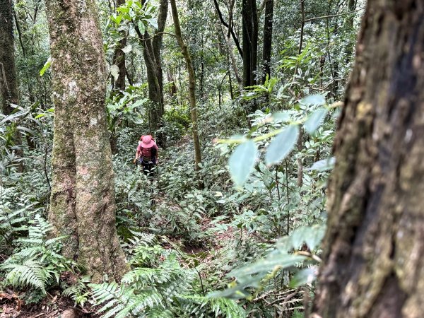 熊空瀑布+熊空山未竟+竹坑山O繞202508162863681