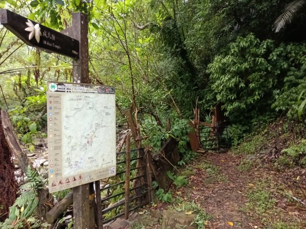 雙溪區中坑古道+大夯瀑布+中坑東山+中坑東山尾稜O型2921515