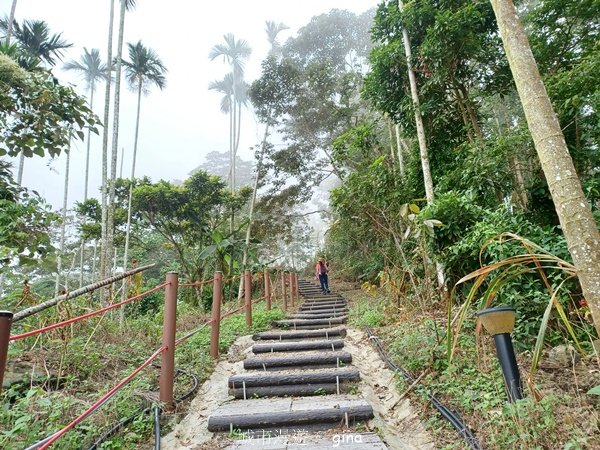 【嘉義竹崎】說好的稜線風景呢。阿拔泉山稜線步道連走獨立山O繞2684132