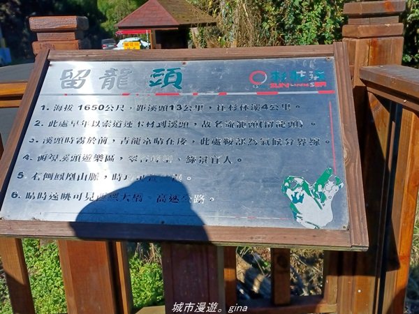 【南投。竹山】茶園竹林巨木櫻花景緻很美(四連峰)。 小百岳集起來。 編號54小百岳金柑樹山1624810