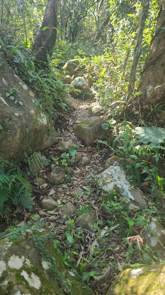 2025-0130溪和宮-大崎頭步道-鵝尾山-平溪步道-鵝尾山水田-42巷-溪山百年古圳-平菁步道2701860