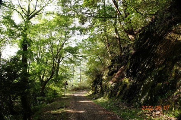 苗栗 泰安 結城山1706123