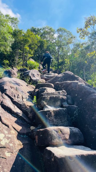 金面山親山步道2867832