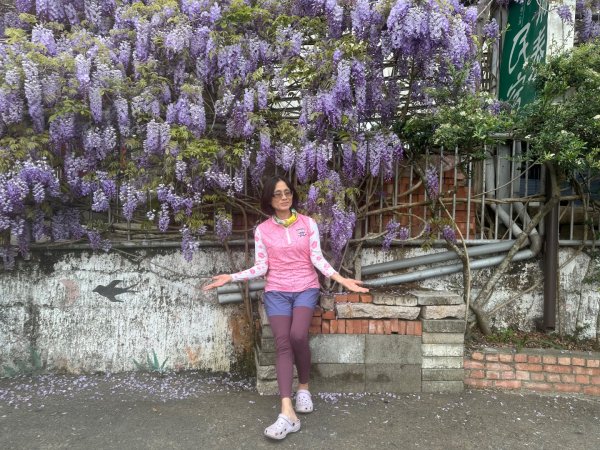 月眉山、海鼠山、生毛樹山、野薑花步道、進學古道3020772