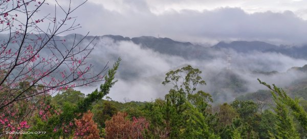 石碇趴趴走追雲趣-星空夜景/曙光日出雲海&差強人意流瀑/霧虹&月亮山櫻花&茶園梅花2418428