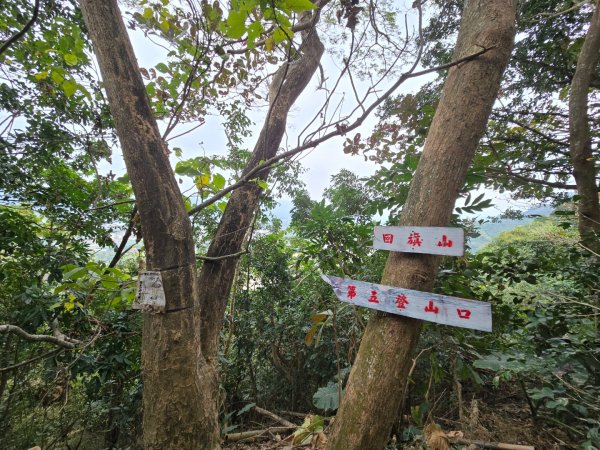 2026-02-01 靈山古道2991730