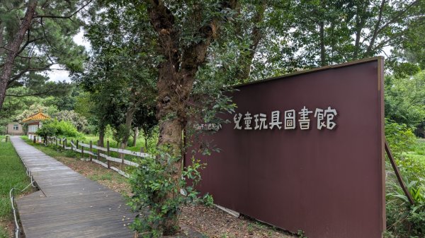 20250629大湳森林公園好所在2823573