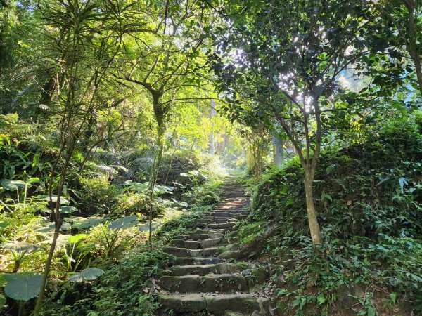 小百岳No.19⛰福德坑山(鳶山)2739691
