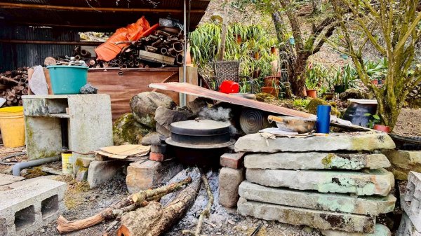 🌈1/17（六）蔡家古厝賞梅×梅子夢工廠×車埕老街✨FB：熊熊趴爬走🌈2983933