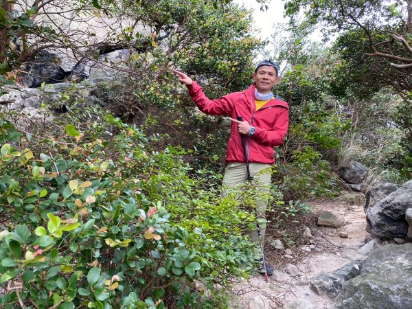 硫磺谷.龍鳳谷.大砲岩.石壇山【大巨蛋 跳起來 可以嗎?】2686312