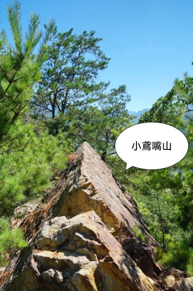 阿冷山 谷關第八雄2877412
