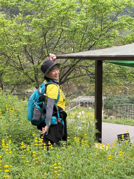 250307台北大縱走第七段2729346