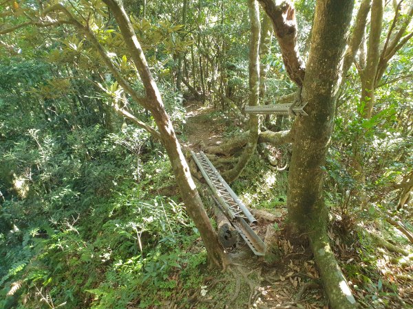 志繼山、東眼山、拉卡山1561257