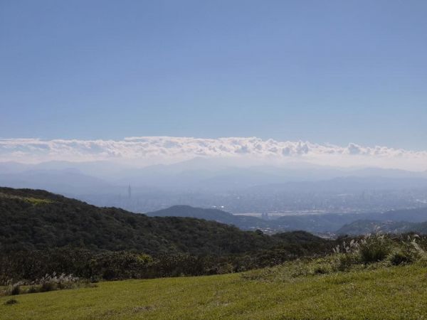 陽明山秋芒：風櫃嘴—頂山—石梯嶺—擎天崗309483