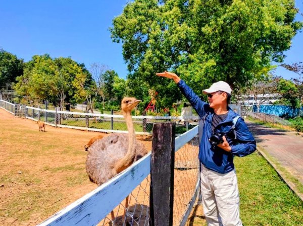 台東原生應用植物園3015246