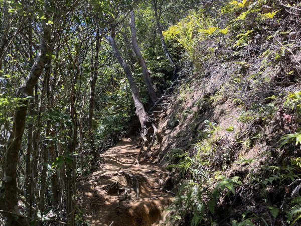 [微笑山線_第九段] 2025_0914 二格山系_皇帝殿西峰2889678